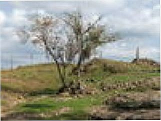 cidade de Fazenda Souza