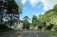 Gramado - Rodovia saindo da cidade de Gramado-RS-Foto:TKL50