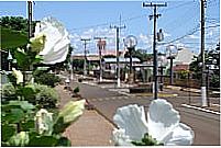 Avenida