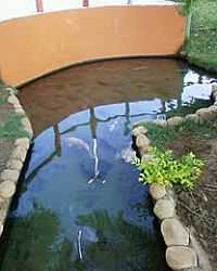 Lapão - Peixes na Praça de Lapão-BA-Foto:Ateloucos