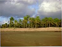ALAGOAS, Por FELIZ DESERTO