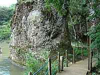 Nova Prata - Trilha para a Cachoeira-Foto:Darlan Corral