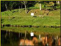 Passo Fundo - Lago-Foto:Darlan Corral