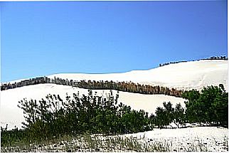 cidade de Pinhal