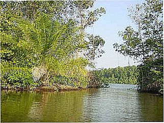 cidade de Relvado