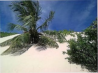 cidade de Mangue Seco