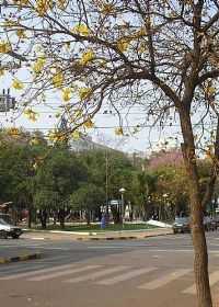 São Borja - Praça XV de Novembro, Por Jaime Seivald
