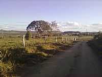 Maracás - Estrada rural de Maracás-BA-Foto:Dantes Inferno