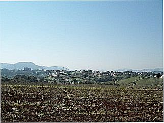 cidade de S�o Jos� do Hort�ncio