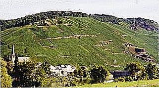 cidade de Selbach