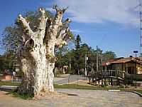 Sertão Santana - Praça Central-por alumoreira