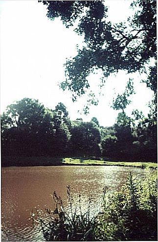 cidade de Tapejara