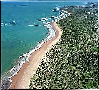 cidade de Mata de S�o Jo�o
