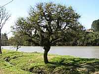 Viamão - Viamão-RS-Lago Tarumã-Foto:Silvio Monteiro