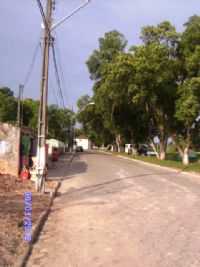 Araquari - CENTRO, Por ROSA MARIA