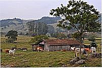 �rea rural-Foto:Germano Sch��r 