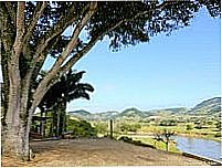 Paisagem-Foto:Germano Sch��r 