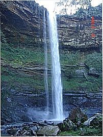 Cachoeira no Parque Mata Atl�ntica-Foto:wiliamrode 