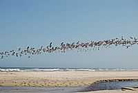 Balneário Gaivota - Praia das Gaivotas em Balneário Gaivota-SC-Foto:Marlon Antonelli
