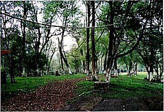 cidade de Bandeirante