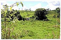 Área rural-Foto: Ivogr