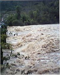 rio, Por neia