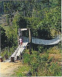 Ponte P�nsil