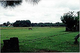cidade de Bela Vista do Toldo