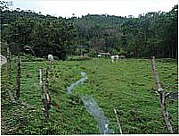 �rea rural-Foto:quinho360 