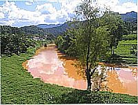 Rio Itajaí por hilariomolinari