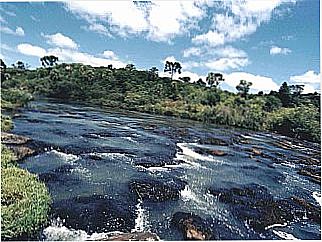 cidade de Brun�polis