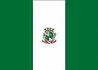 Bandeira da cidade de Chapecó-SC