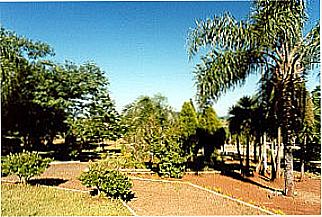 cidade de Coronel Martins