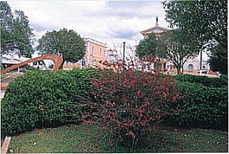 cidade de Curitibanos