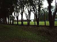 Grápia - Campo de Futebol-Foto:Amauri Schmitt