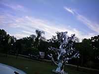 Itá - Escultura em árvore em Itá-SC-Foto:eltonestrada
