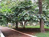 Maravilha - Praça foto Jorgej