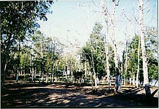 cidade de Monda�