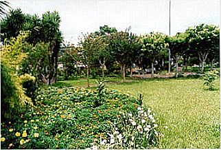 cidade de Palma Sola