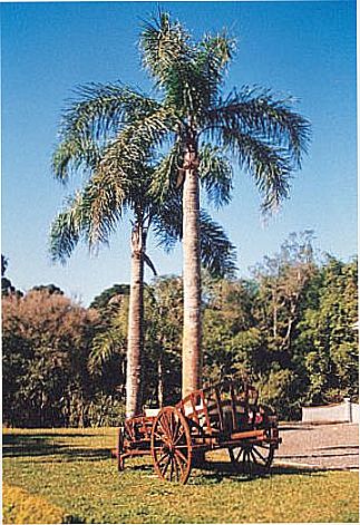 cidade de Peritiba