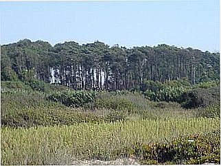 cidade de Pinheiral
