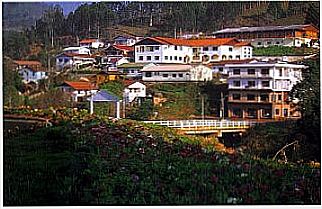 cidade de Pinheiro Preto