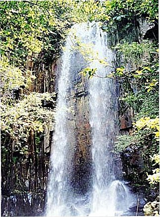 cidade de Santa Rosa de Lima