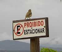 São Francisco do Sul - Bela imagem em São Francisco do Sul-SC-Foto:Aluisio Ribeiro 2