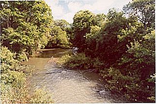 cidade de Vargem