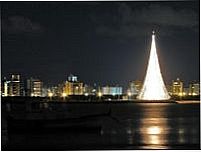 A MAIOR ARVORE DE NATAL DO MUNDO, Por ROBSON DE JESUS