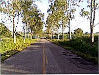 Estrada de acesso-Foto:Gênison Oliveira Tri…