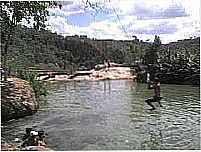 Macambira-Foto:dlandahl