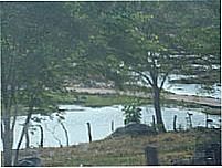 O�sis no meio da caatinga-Foto:Paulo Noronha