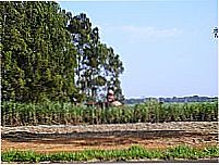 Ameli�polis por E�nio